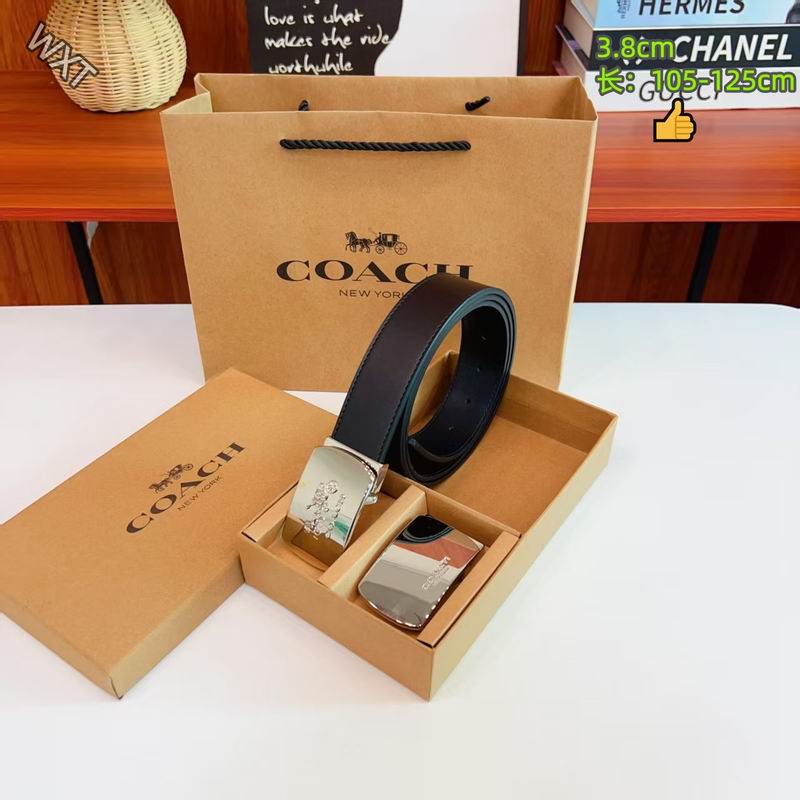 Coach belt 38mmX105-125cm 8L10